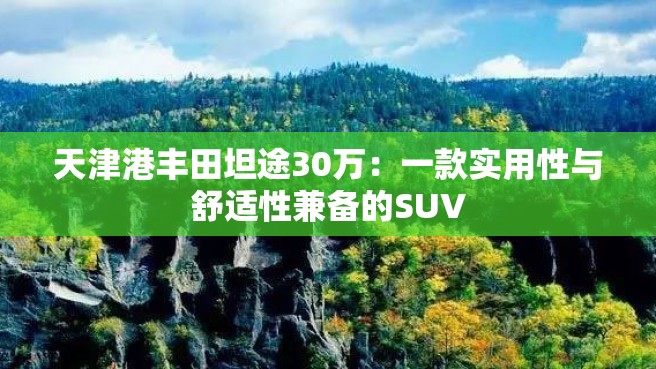 天津港丰田坦途30万：一款实用性与舒适性兼备的SUV