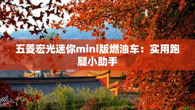 五菱宏光迷你mini版燃油车：实用跑腿小助手