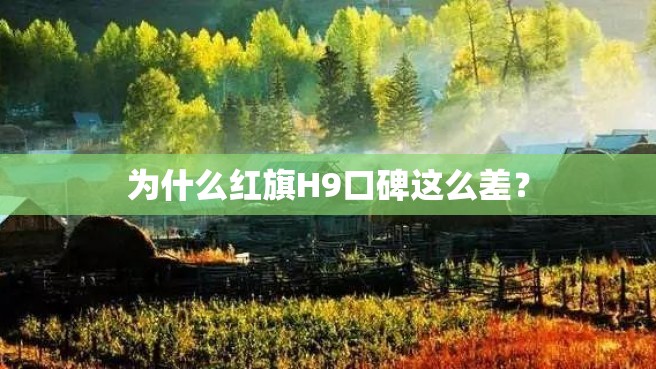 为什么红旗H9口碑这么差？