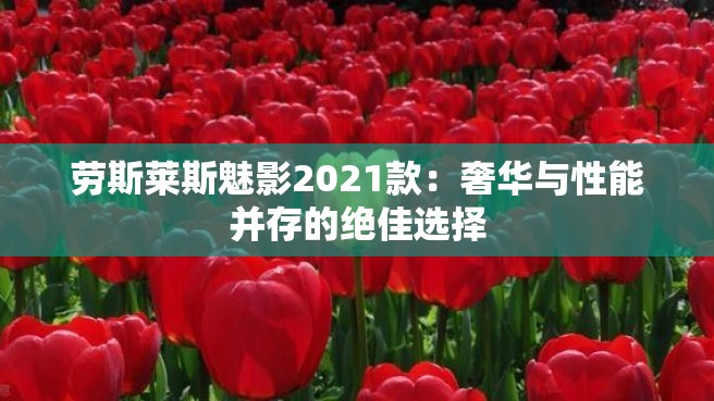 劳斯莱斯魅影2021款：奢华与性能并存的绝佳选择