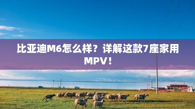 比亚迪M6怎么样？详解这款7座家用MPV！