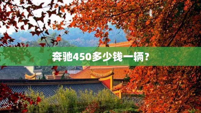 奔驰450多少钱一辆？