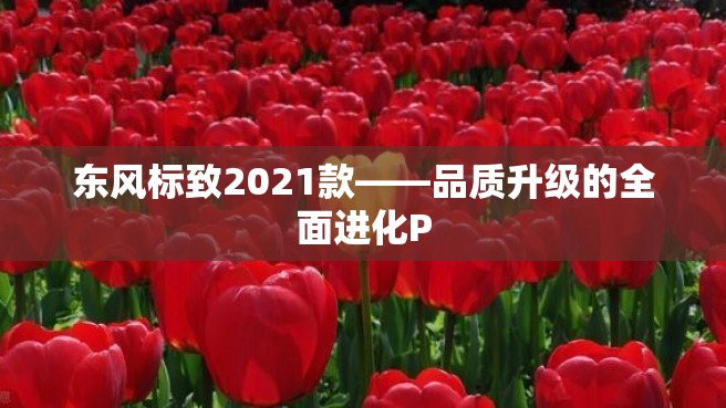 东风标致2021款——品质升级的全面进化P