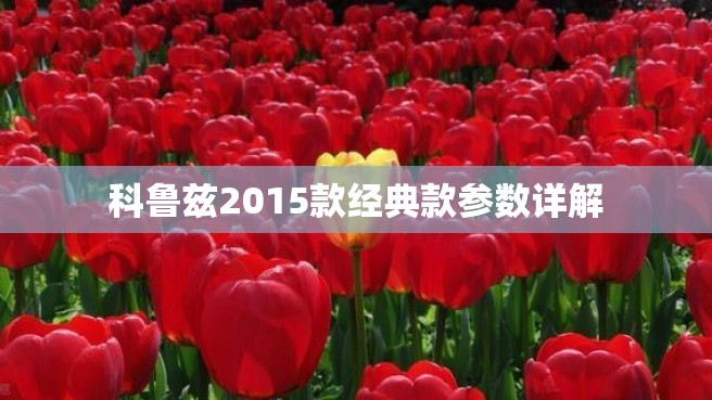 科鲁兹2015款经典款参数详解