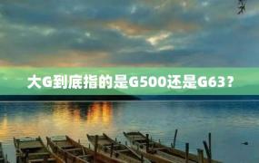 大G到底指的是G500还是G63？