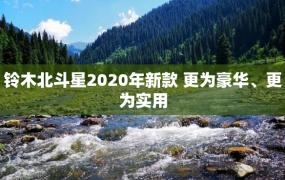 铃木北斗星2020年新款 更为豪华、更为实用