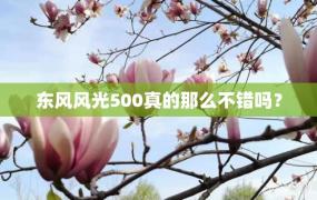 东风风光500真的那么不错吗？