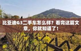 比亚迪G3二手车怎么样？看完这篇文章，你就知道了！