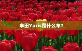 丰田Yaris是什么车？