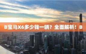 B宝马X6多少钱一辆？全面解析！B