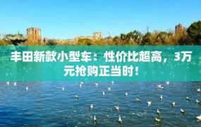 丰田新款小型车：性价比超高，3万元抢购正当时！