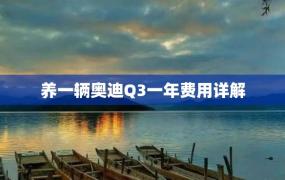 养一辆奥迪Q3一年费用详解