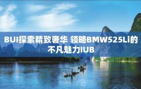 BUI探索精致奢华 领略BMW525Li的不凡魅力IUB