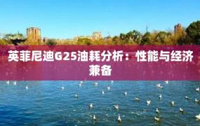 英菲尼迪G25油耗分析：性能与经济兼备