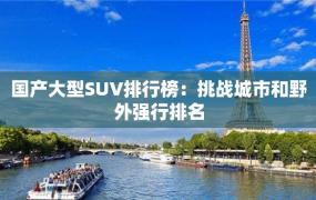 国产大型SUV排行榜：挑战城市和野外强行排名