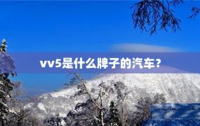 vv5是什么牌子的汽车？