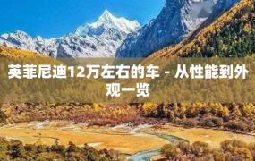 英菲尼迪12万左右的车 - 从性能到外观一览