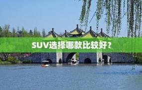 SUV选择哪款比较好？