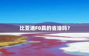 比亚迪F0真的省油吗？