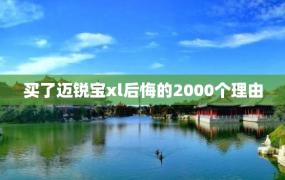 买了迈锐宝xl后悔的2000个理由