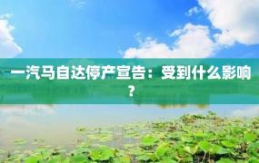 一汽马自达停产宣告：受到什么影响？