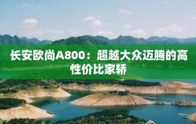 长安欧尚A800：超越大众迈腾的高性价比家轿