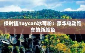 保时捷Taycan冰莓粉：豪华电动跑车的新颜色