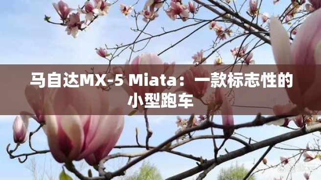 马自达MX-5 Miata：一款标志性的小型跑车