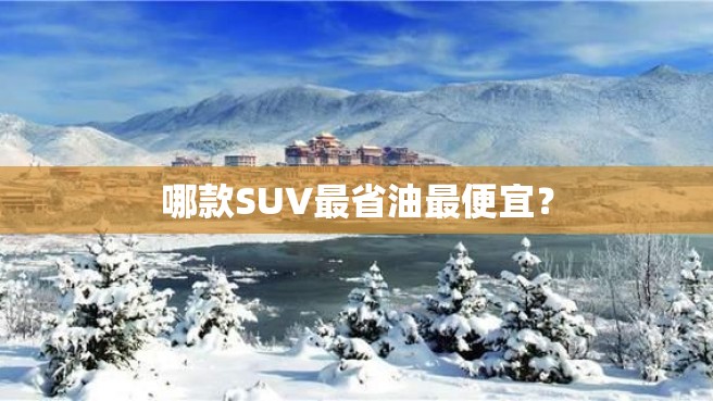 哪款SUV最省油最便宜？