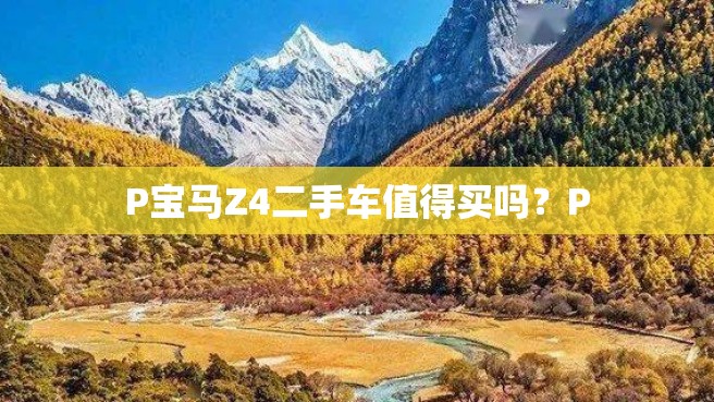 P宝马Z4二手车值得买吗？P