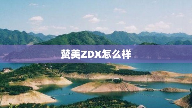 赞美ZDX怎么样