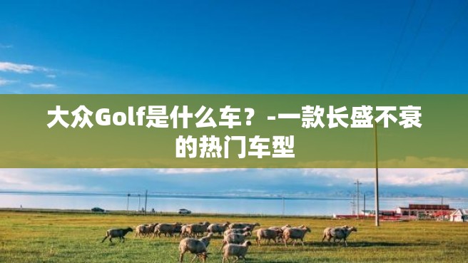 大众Golf是什么车？-一款长盛不衰的热门车型