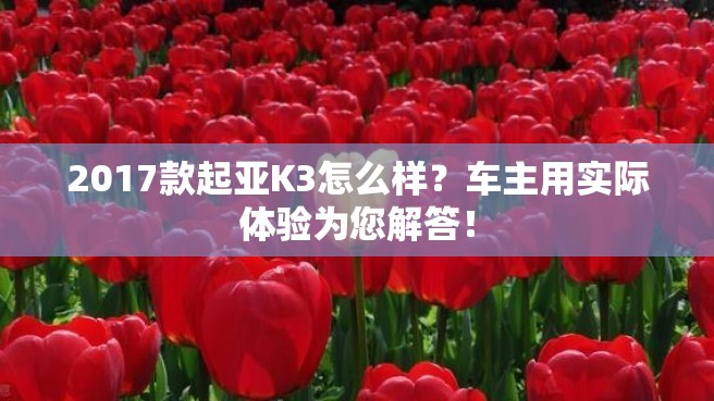 2017款起亚K3怎么样？车主用实际体验为您解答！