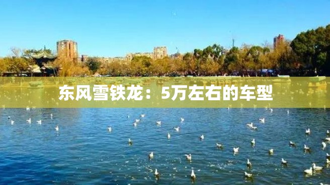 东风雪铁龙：5万左右的车型