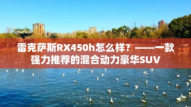 雷克萨斯RX450h怎么样？——一款强力推荐的混合动力豪华SUV