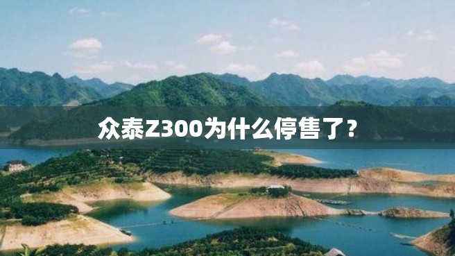 众泰Z300为什么停售了？