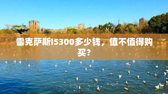 雷克萨斯IS300多少钱，值不值得购买？