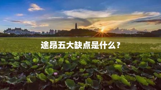 途昂五大缺点是什么？