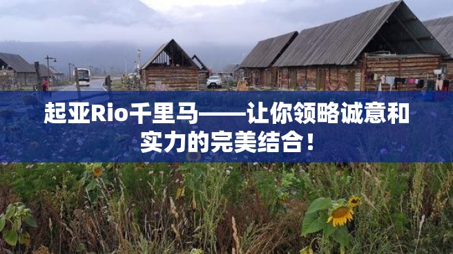 起亚Rio千里马——让你领略诚意和实力的完美结合！