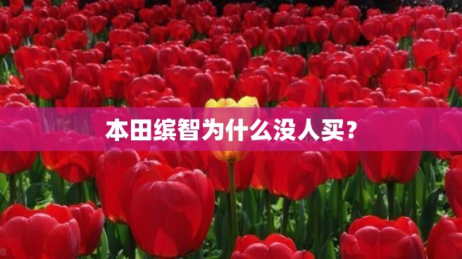 本田缤智为什么没人买？