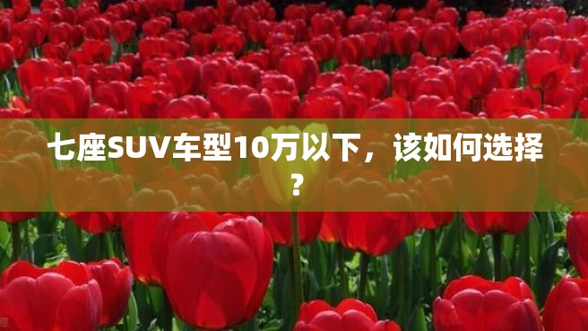 七座SUV车型10万以下，该如何选择？