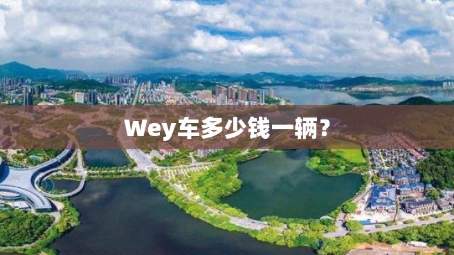 Wey车多少钱一辆？