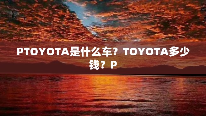 PTOYOTA是什么车？TOYOTA多少钱？P