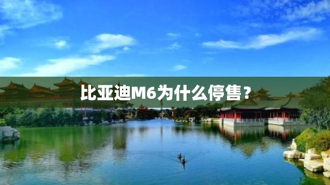 比亚迪M6为什么停售？