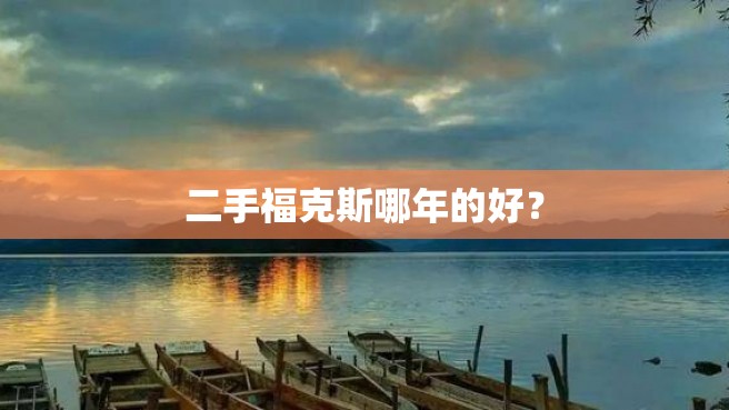 二手福克斯哪年的好？