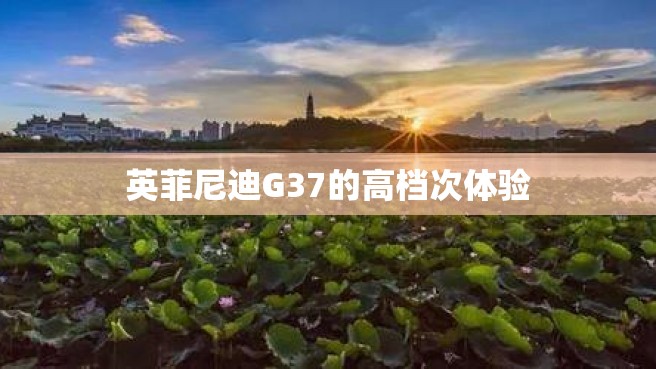 英菲尼迪G37的高档次体验