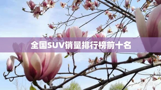 全国SUV销量排行榜前十名