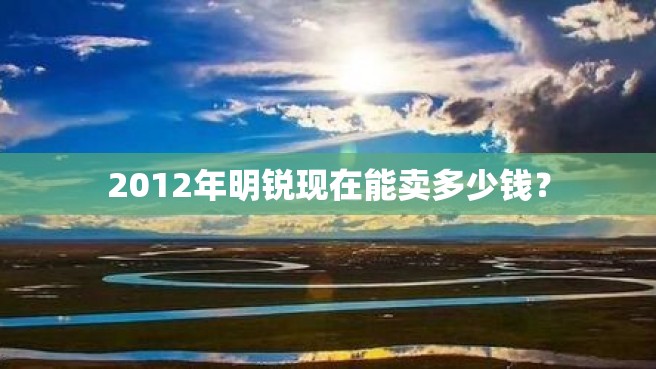 2012年明锐现在能卖多少钱？