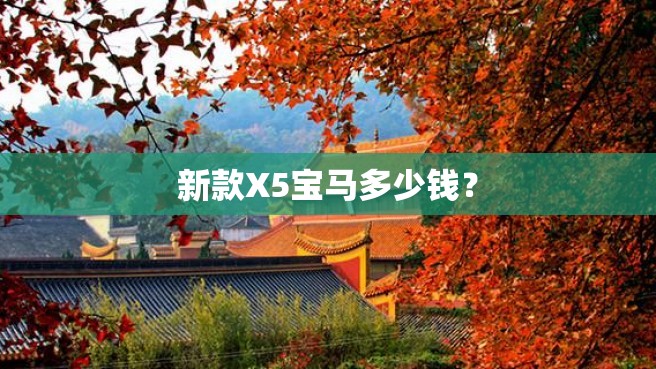 新款X5宝马多少钱？