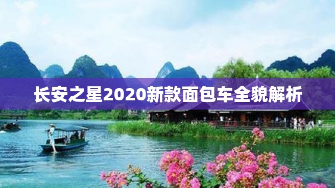 长安之星2020新款面包车全貌解析